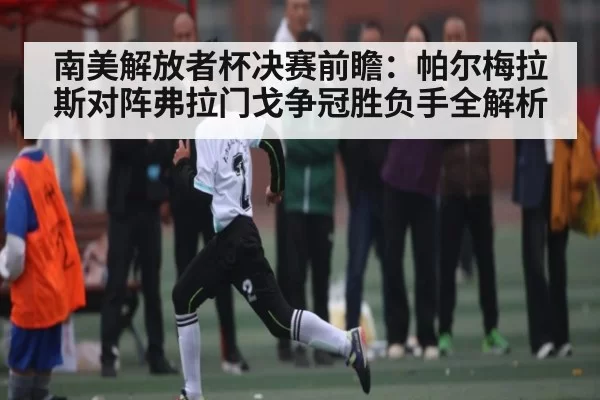 南美解放者杯决赛前瞻：帕尔梅拉斯对阵弗拉门戈争冠胜负手全解析